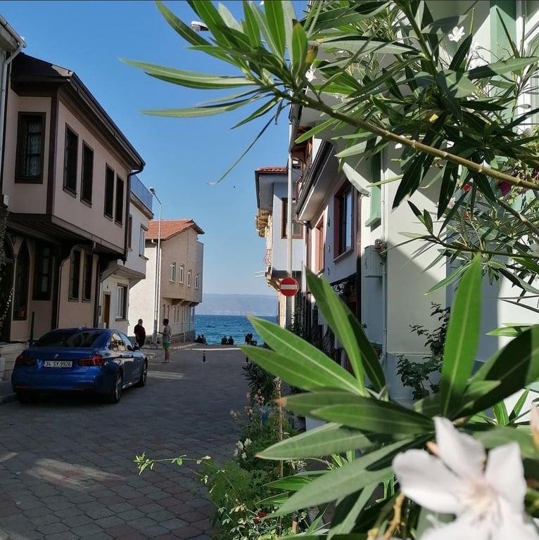 Zeytinbağı fotoğraf 7
