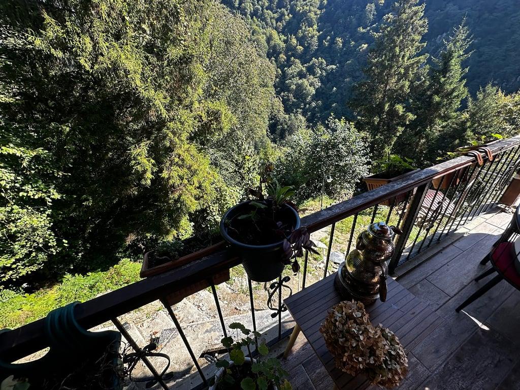 Cansuyu cafe & restaurant fotoğraf 6