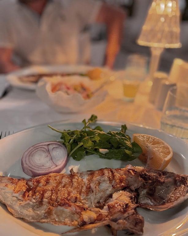 Eleos Bodrum fotoğraf 4