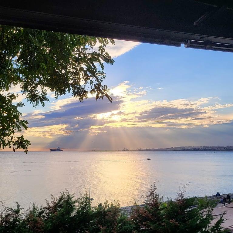 Florya Balık (Aqua Florya AVM) fotoğraf 8