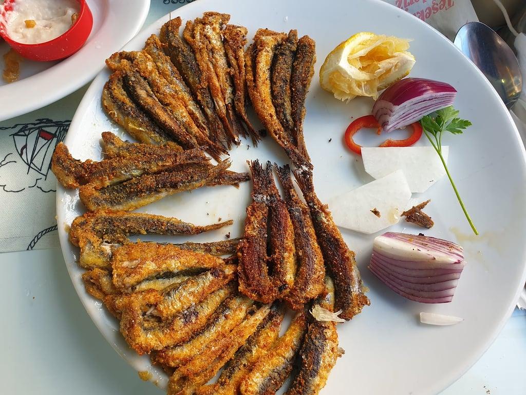 Arda balık fotoğraf 13