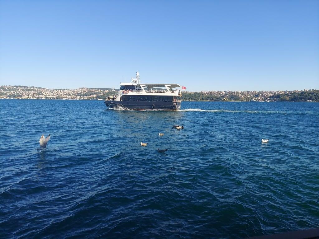 Aleko’nun Yeri Deniz Park Restoran fotoğraf 7