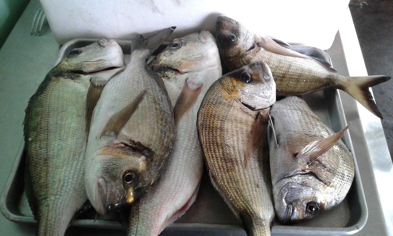 Mamouzelos Seafood Restaurant fotoğraf 4