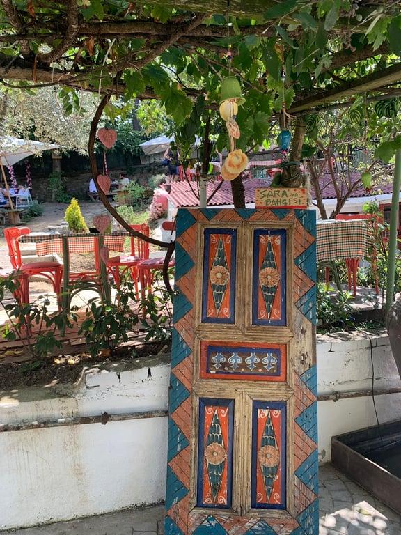 Saranın Bahçesi fotoğraf 12