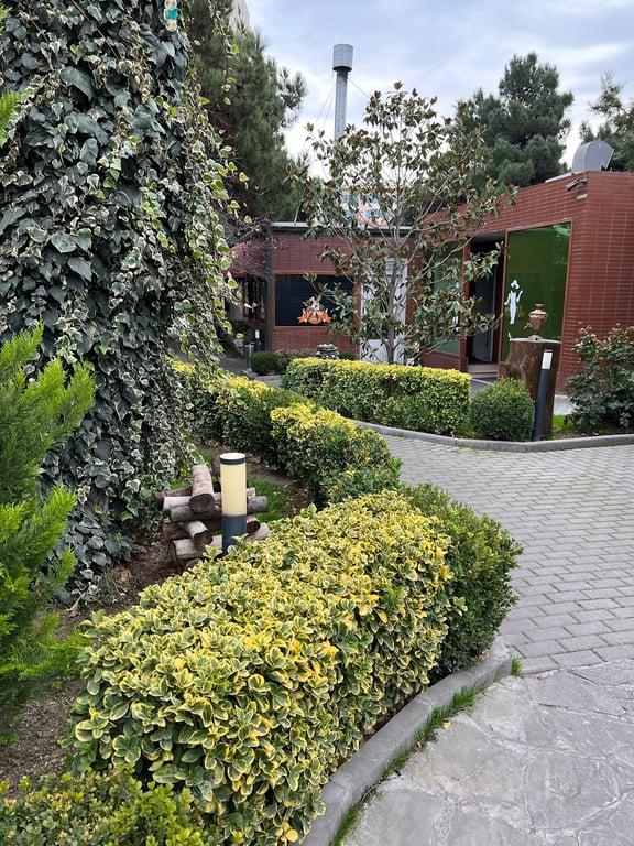 Turan.A Restoran fotoğraf 8