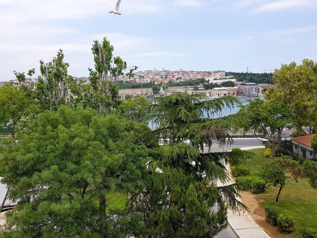 Fındık Kabuğunda Köfte fotoğraf 6