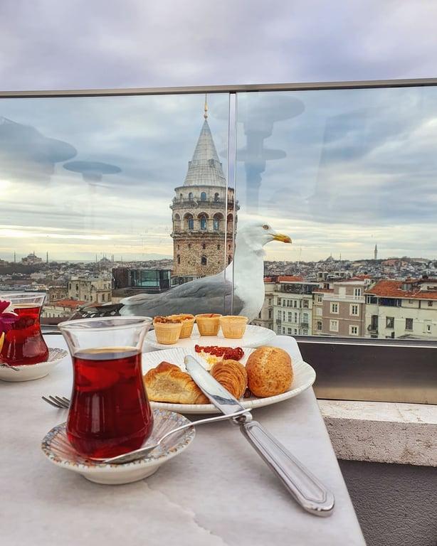 Barnathan İstanbul fotoğraf 4
