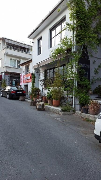 Araka fotoğraf 2