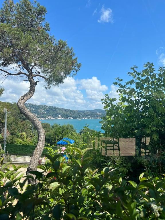 Çamlık Garden Tarabya fotoğraf 7