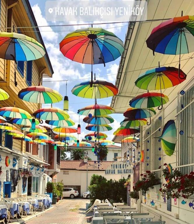 Yeniköy kavak balıkçısı fotoğraf 7