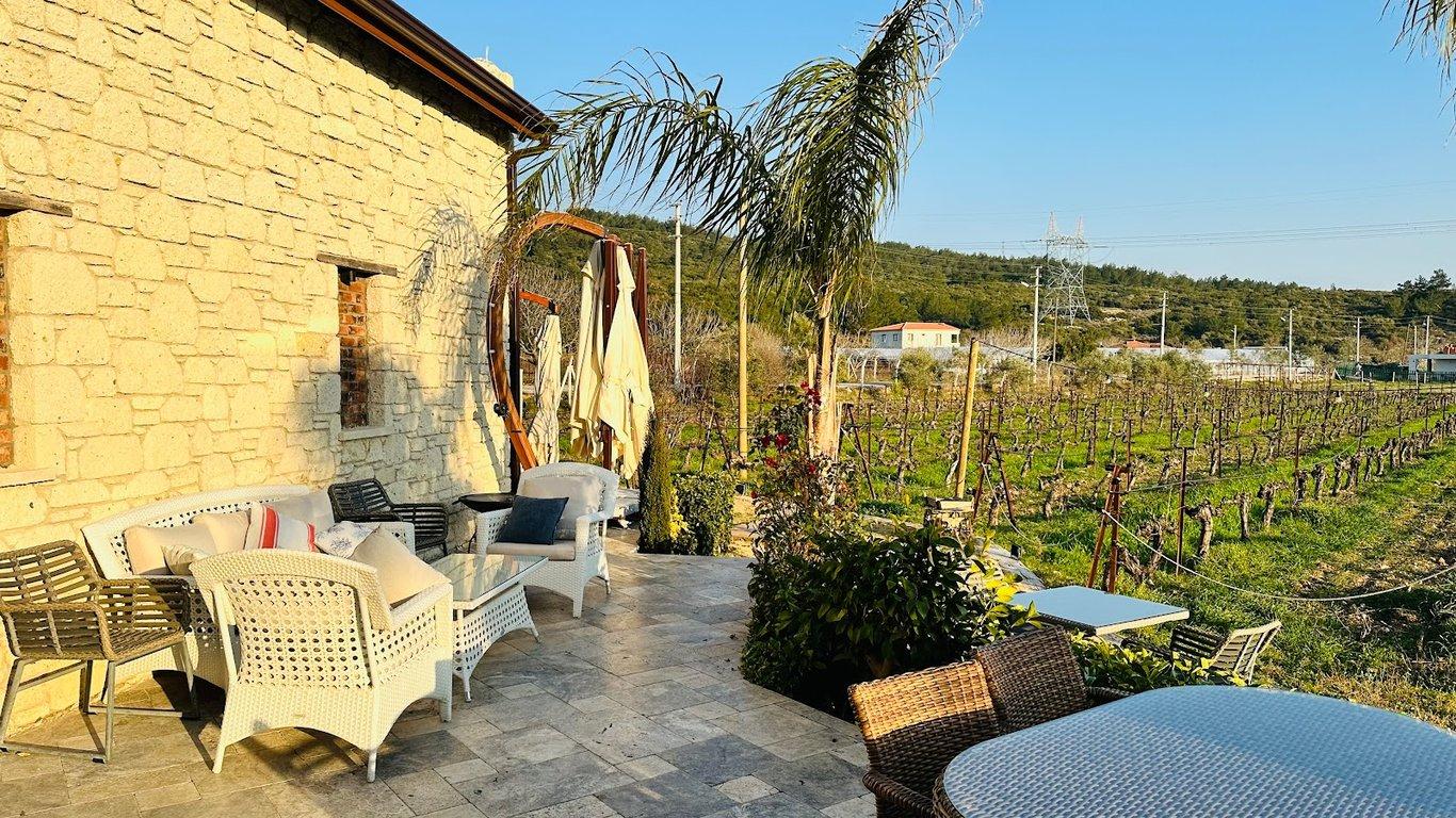 ÇAKIR Winery & Vineyards/ ÇAKIR Şarapçılık & Bağcılık fotoğraf 4