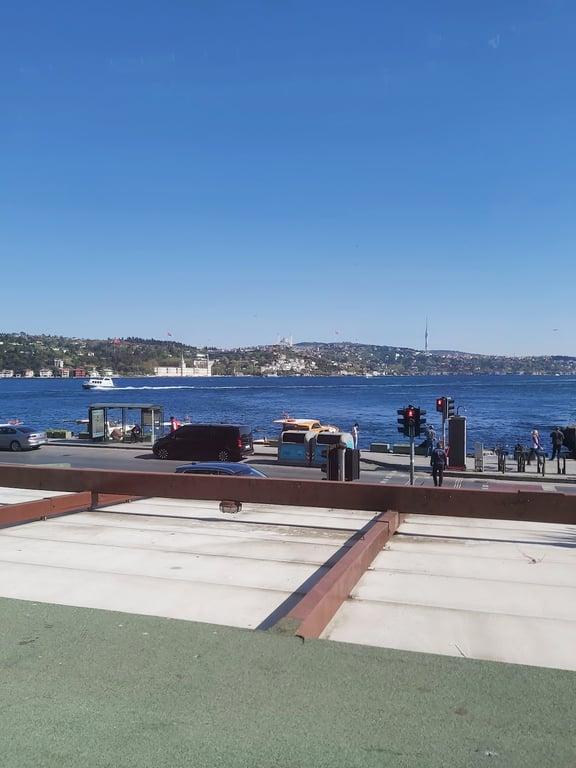 Vira Vira Balık fotoğraf 3