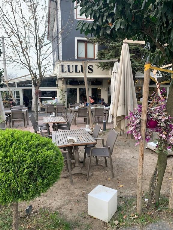 Lulus fotoğraf 8