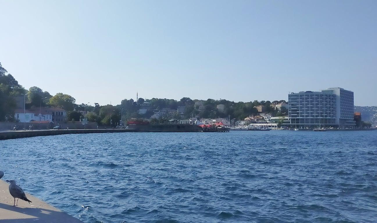 Hayrola Cafe fotoğraf 4