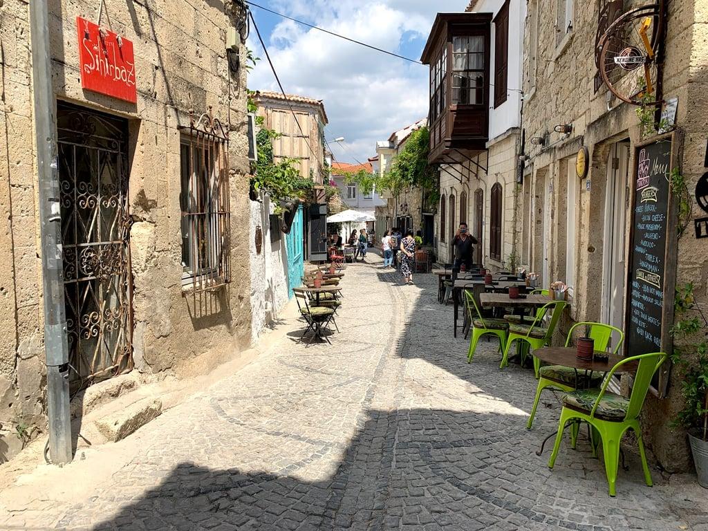 Asma Yaprağı fotoğraf 8