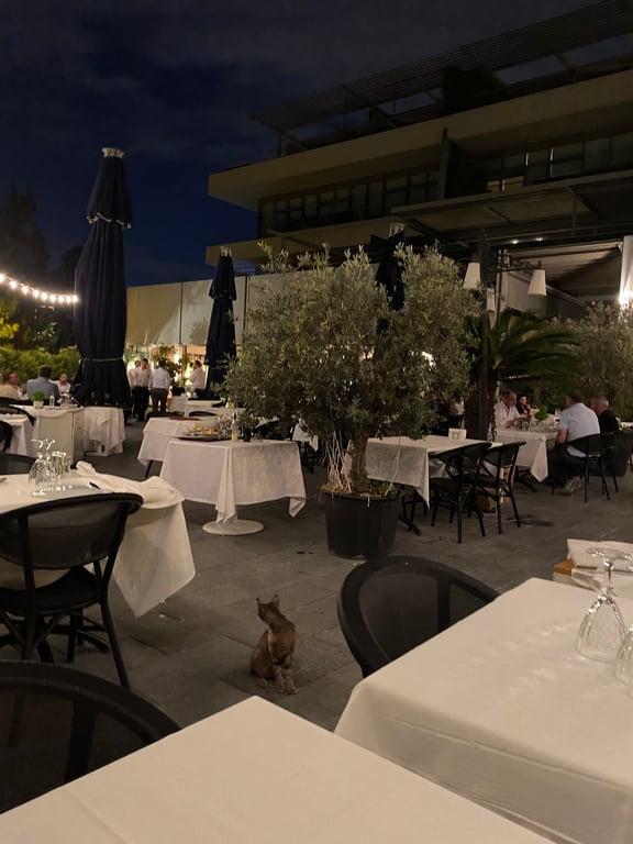 Papalina Balık Restoranı Ataköy Marina