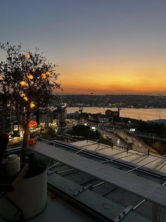 Monkeyistanbul fotoğraf 4