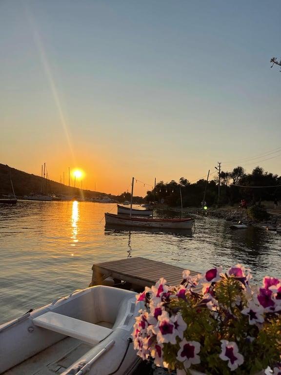 Mimoza Gümüşlük Restaurant fotoğraf 1