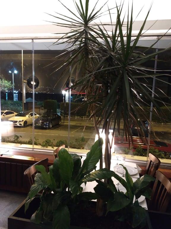 Kireçburnu Balıkçısı fotoğraf 5