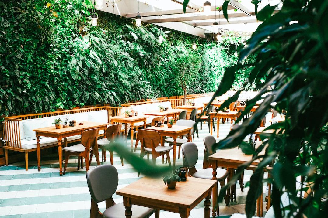 The House Cafe Garden fotoğraf 10