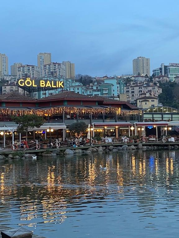 Göl Balık Bahçeşehir fotoğraf 7