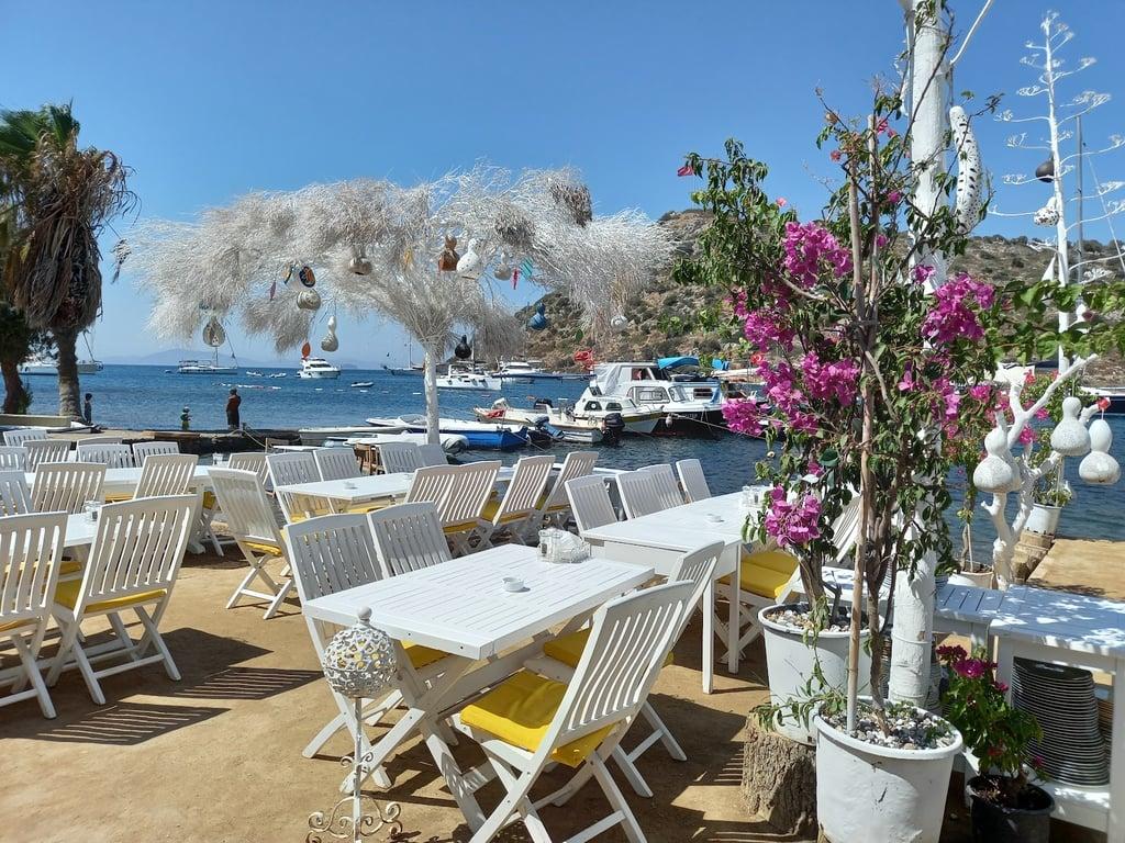 Mimoza Gümüşlük Restaurant fotoğraf 3
