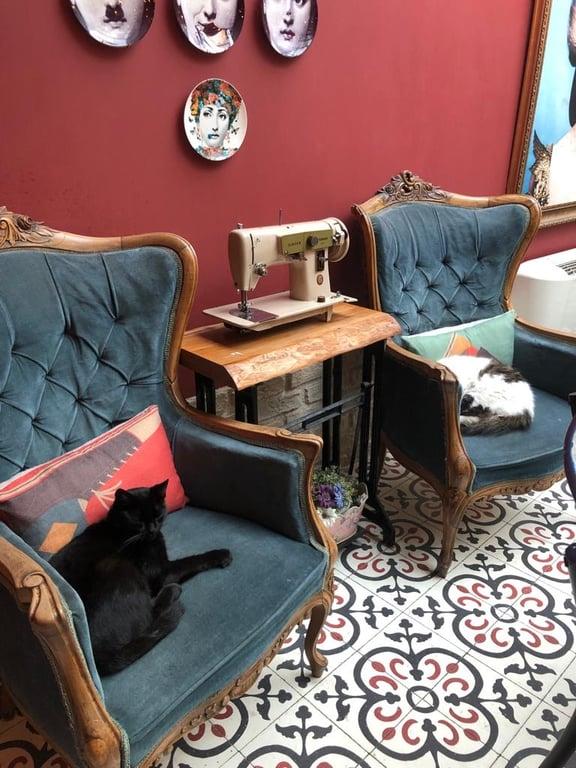 Sera House Cafe fotoğraf 4