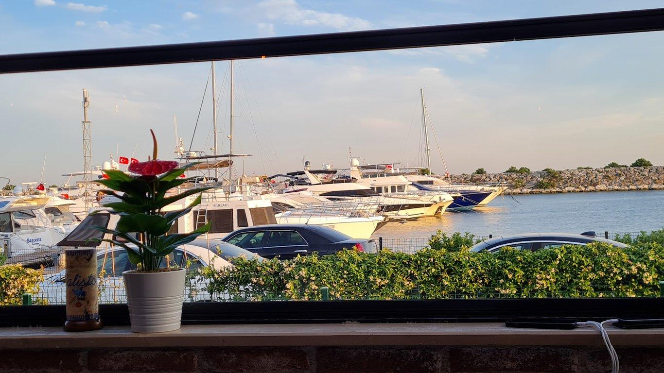CALİSTO BALIK fotoğraf 2