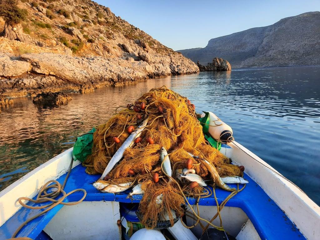 Taverna Kalidonis fotoğraf 4