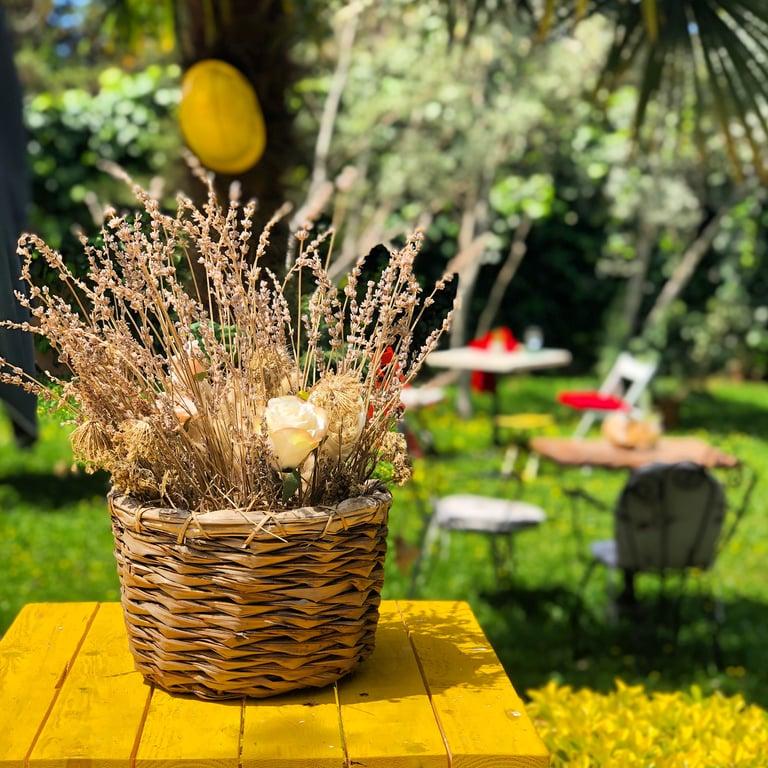 Casa De Bohemia fotoğraf 9
