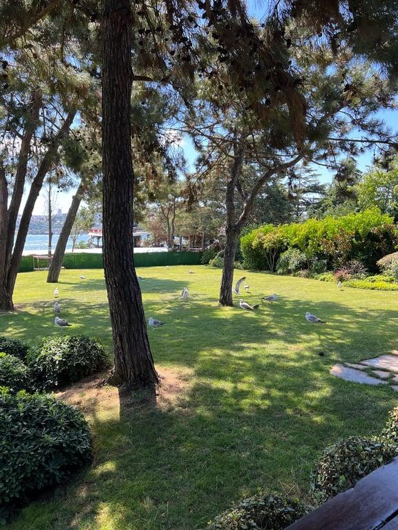 HuQQa Kuruçeşme - Best Shisha & Breakfast in İstanbul fotoğraf 9