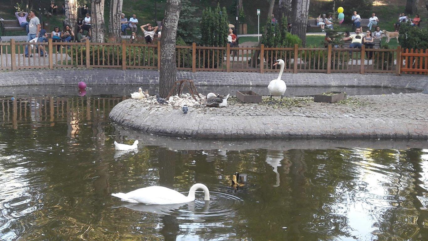 Kuğulupark Restaurant & Cafe fotoğraf 3