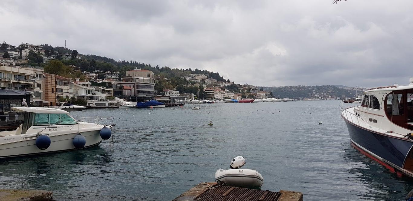 Cup of Joy - Bebek fotoğraf 9