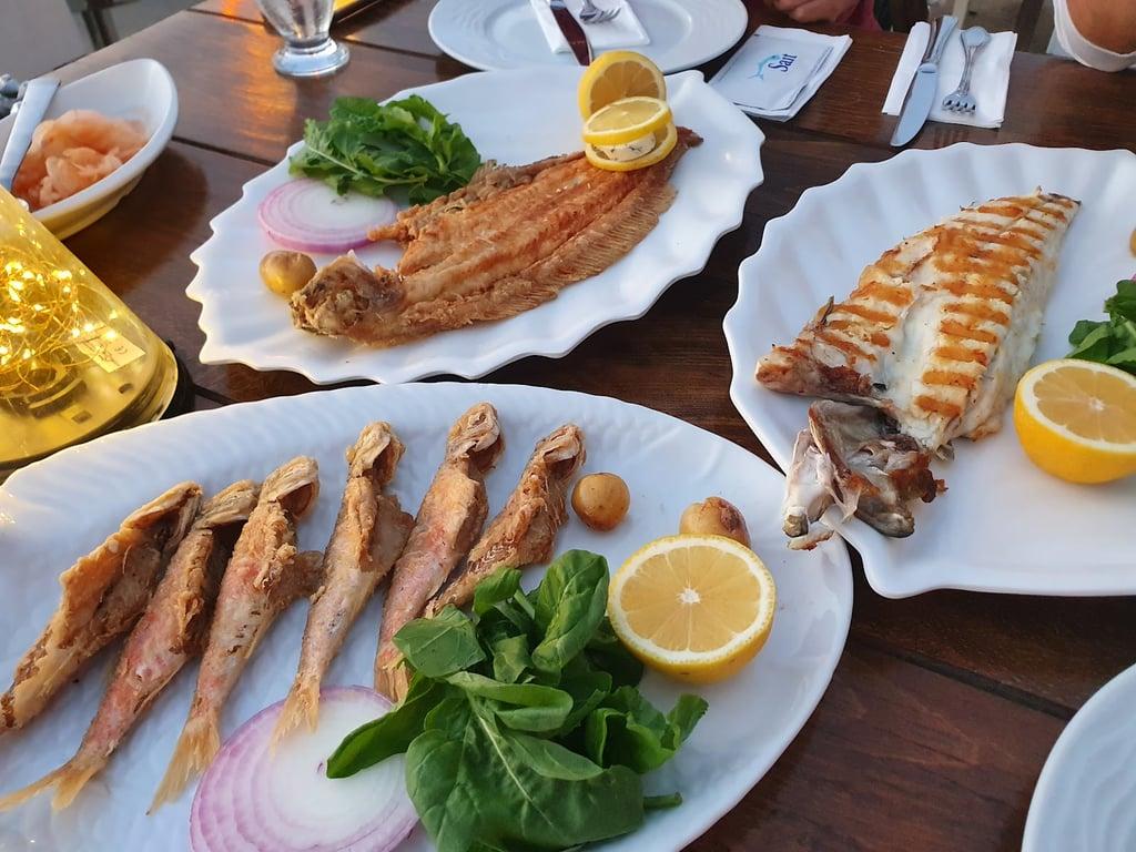 Sait fotoğraf 3