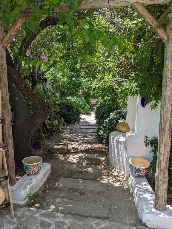 Asmalı Çardak Kahvaltı Evi fotoğraf 7