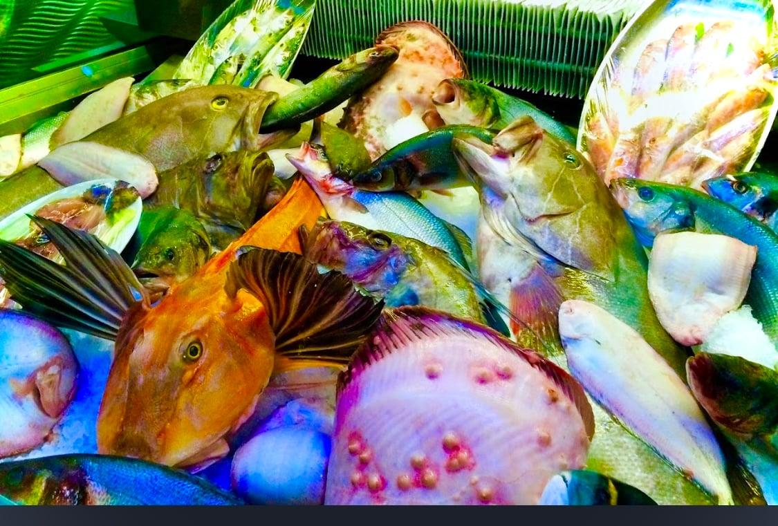 Beluga Fish Gourmet | Ataşehir fotoğraf 8