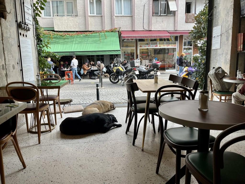 Küff Yeldeğirmeni fotoğraf 16