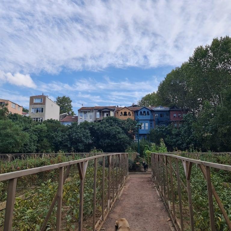Hausbrandt Kuzguncuk fotoğraf 15