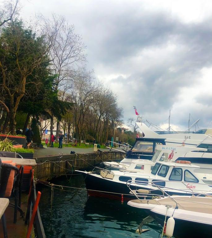 Nilly Cafe fotoğraf 10