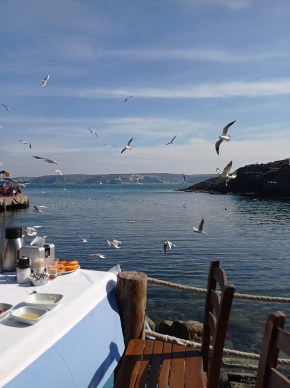 Garipçe Aydın Kahvaltı ve Balık Restaurant fotoğraf 4