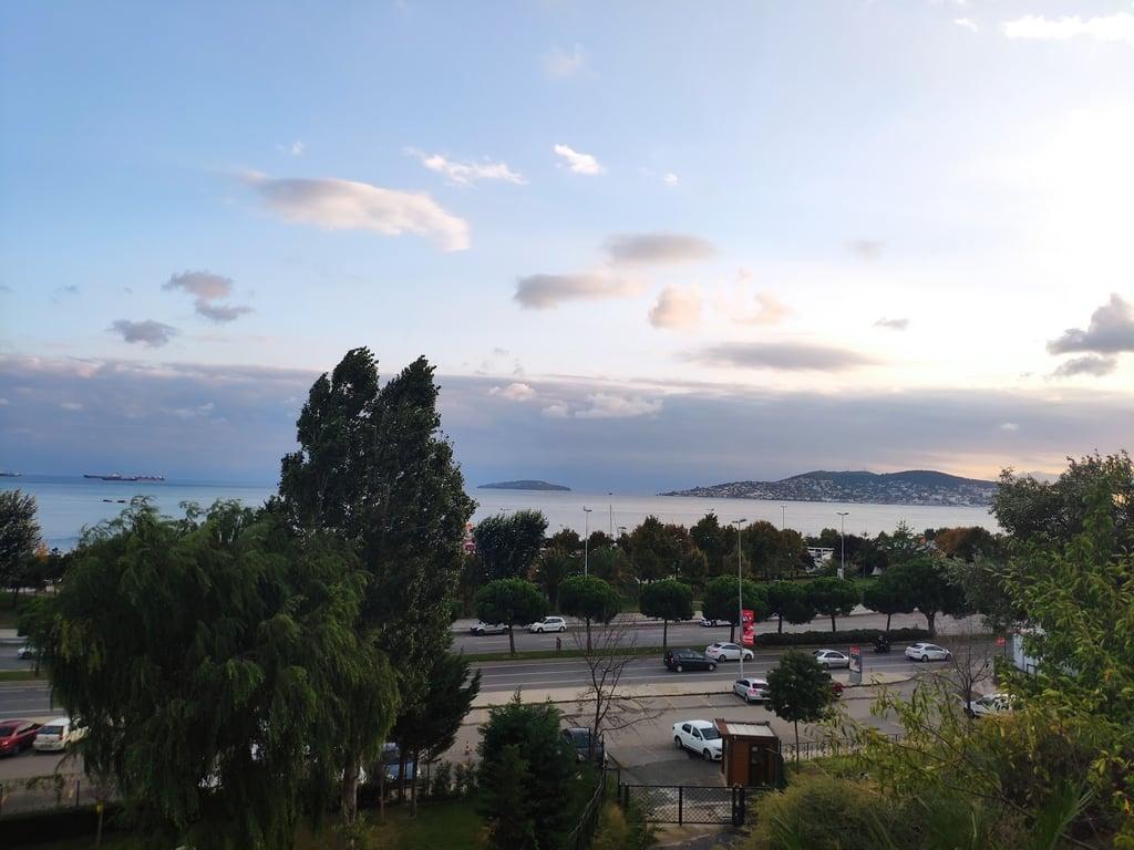Dragos Balık fotoğraf 5