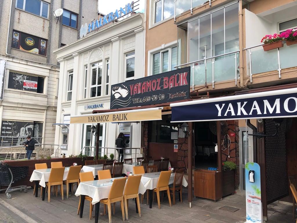 Tuzla Yakamoz Balık fotoğraf 9