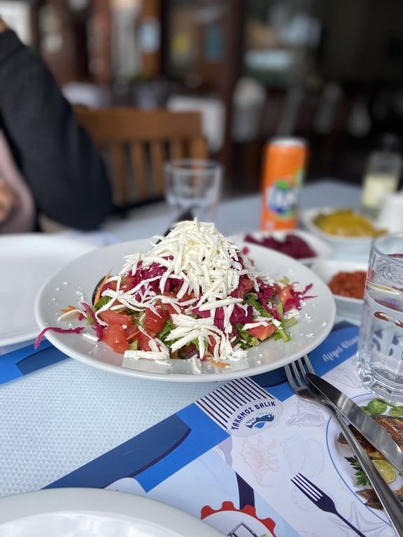 Tuzla Yakamoz Balık fotoğraf 10