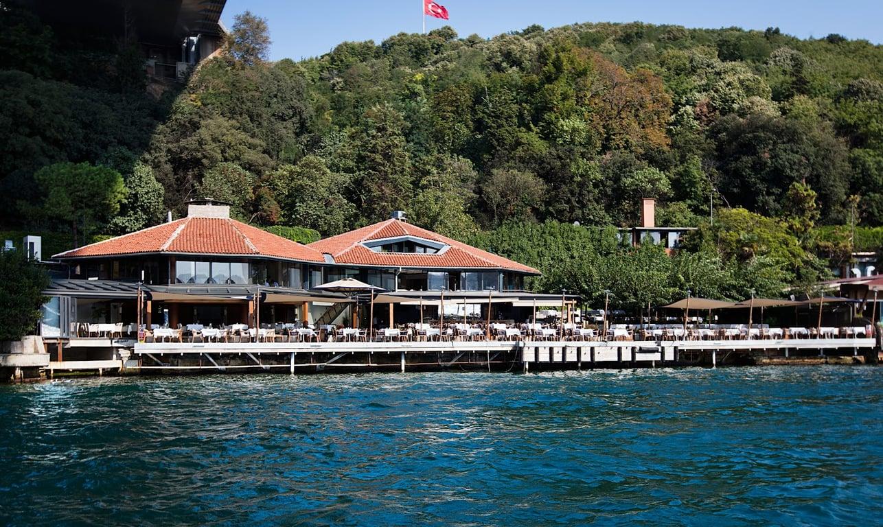 Lacivert fotoğraf 4