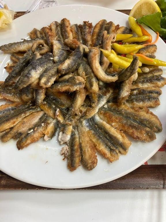 Can Balık