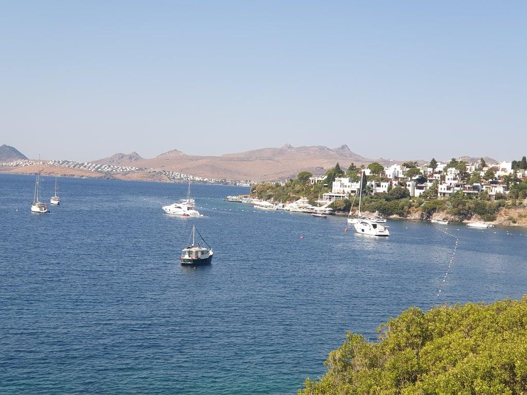 Archipelago Restaurant fotoğraf 8