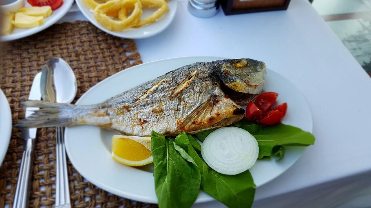 Yeniköy kavak balıkçısı fotoğraf 1