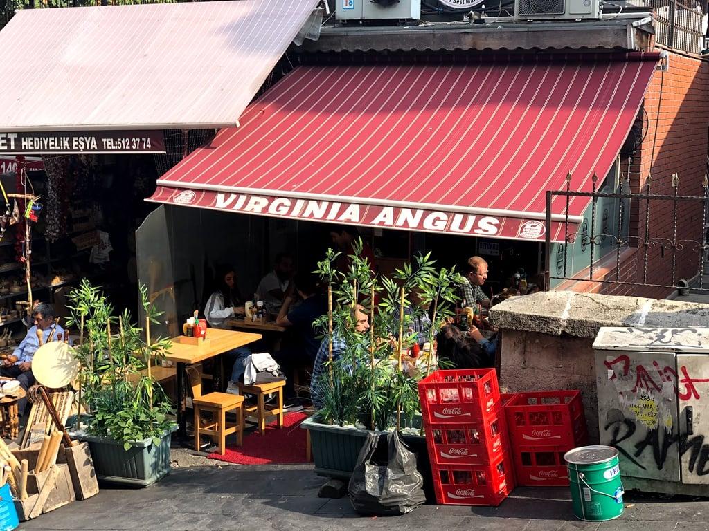 Virginia Angus