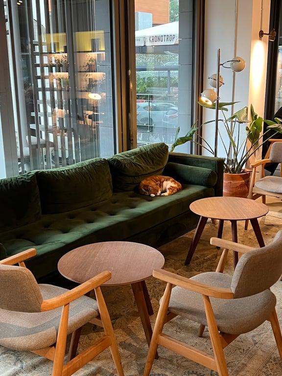 Kronotrop Levent Eatery fotoğraf 5