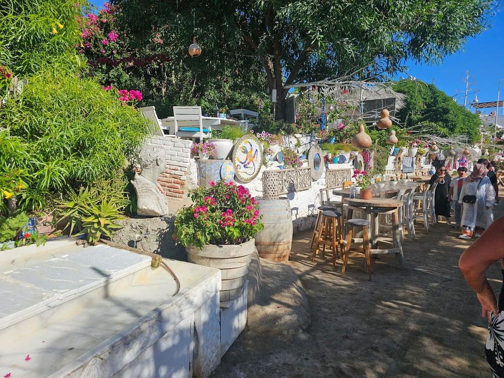 Mimoza Gümüşlük Restaurant fotoğraf 7